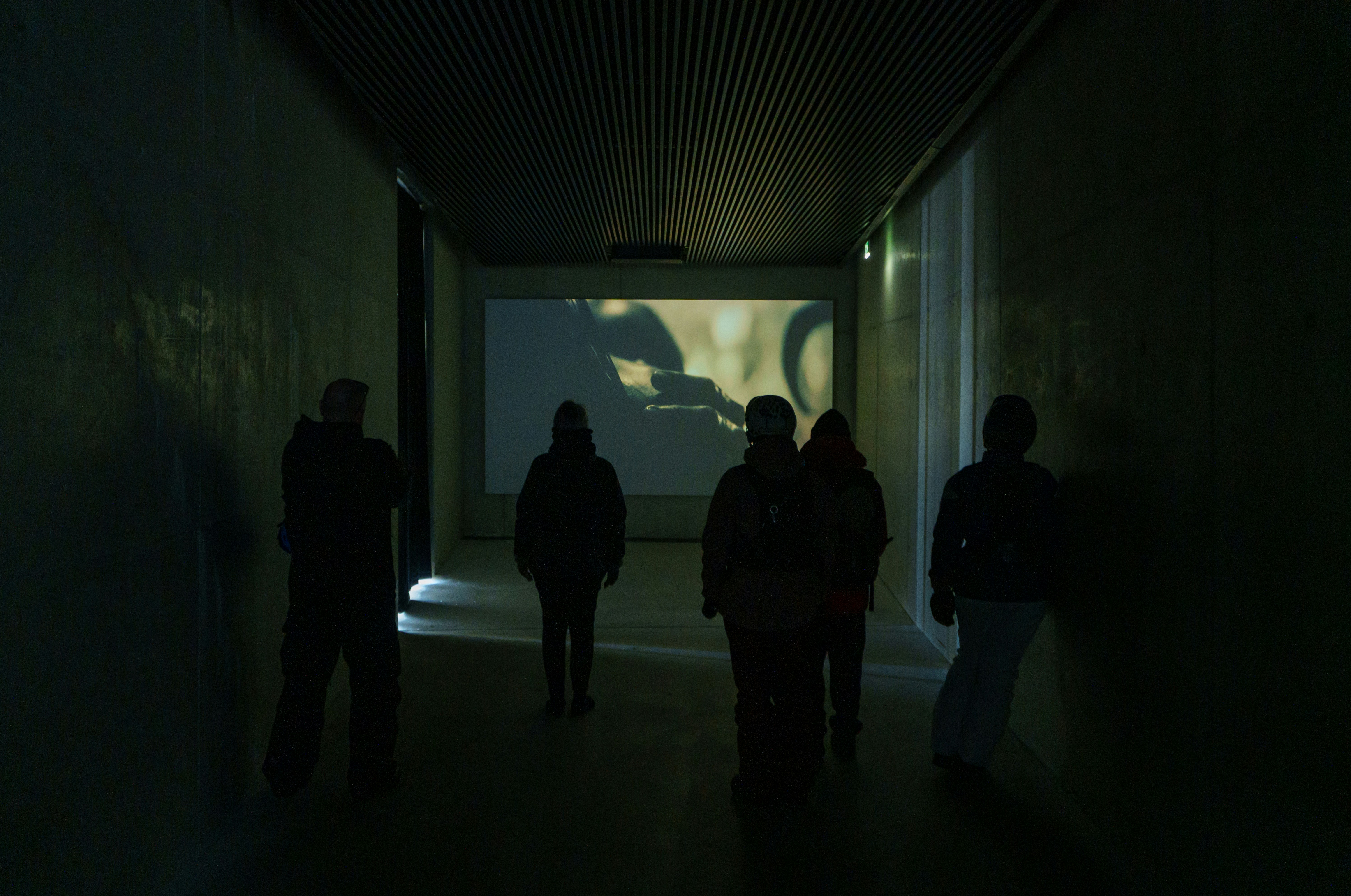 A group of 5 people watching a showcasing of a film